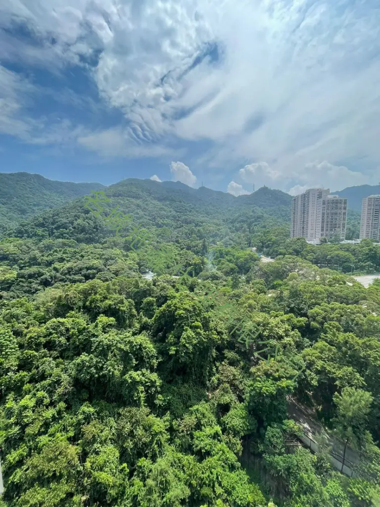 金獅花園 高層 - 房大廳大 有匙即睇